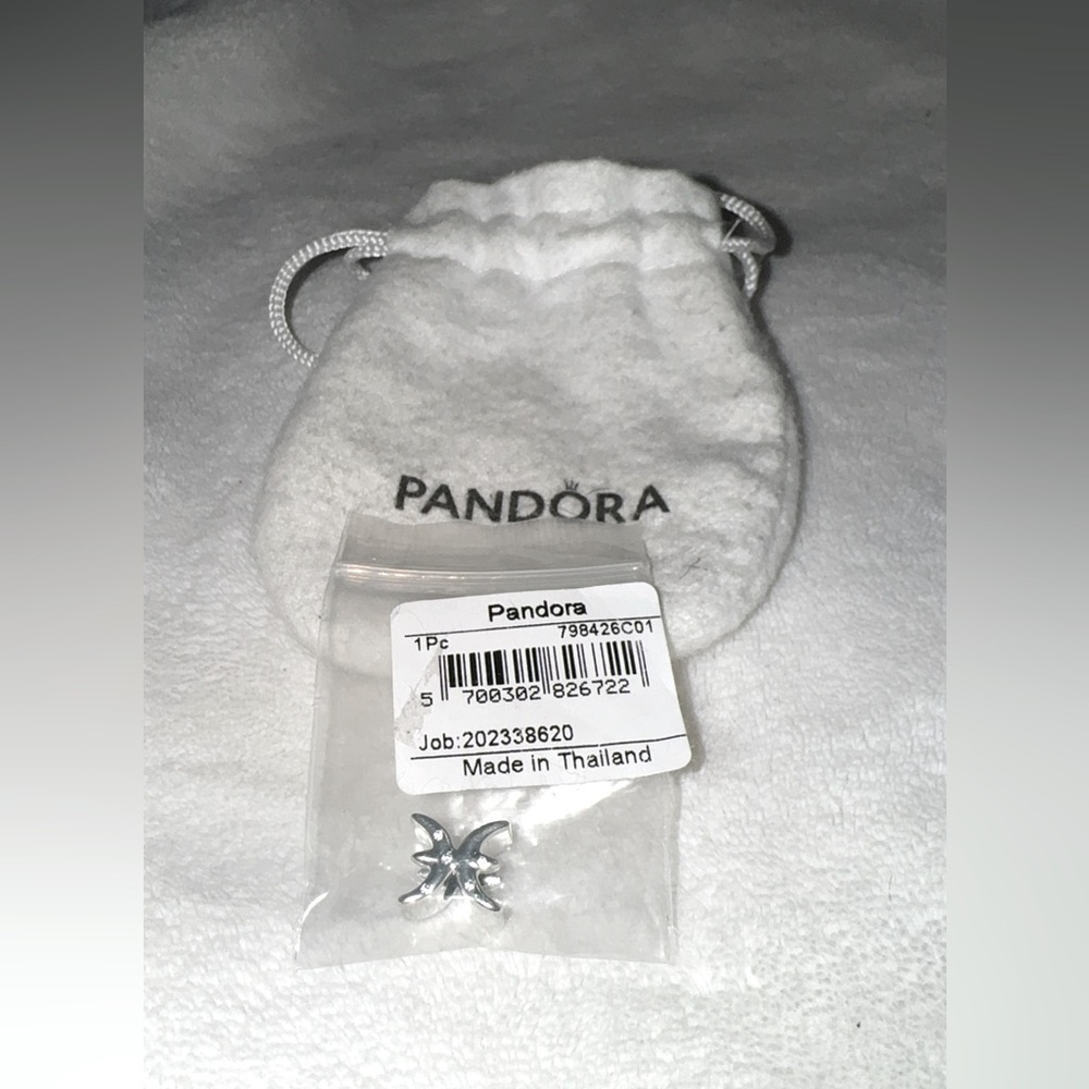 Pandora zodiac charm